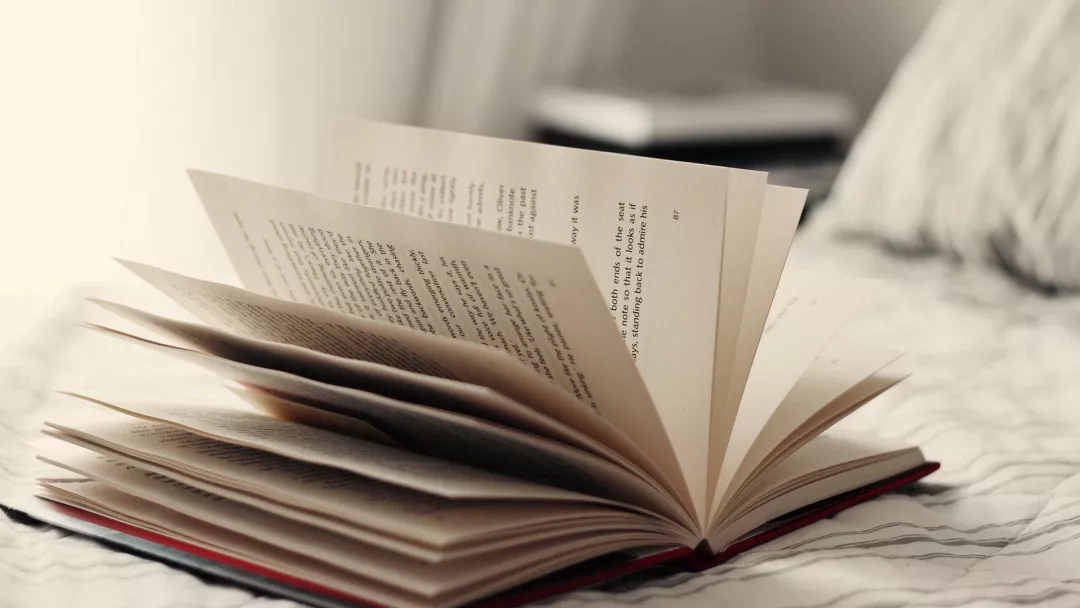 1562202005242065.jpeg 640.webp.jpg