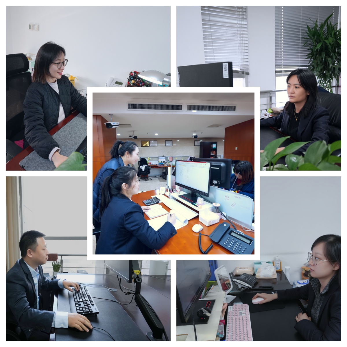 1704436013591304.jpeg 1704436013591304.jpeg